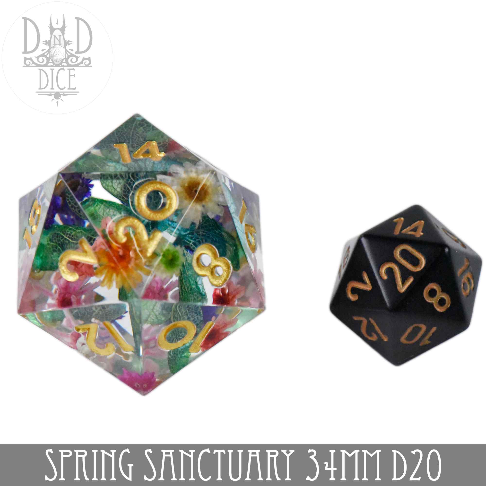 34mm D20 - Spring Sanctuary - Image 2